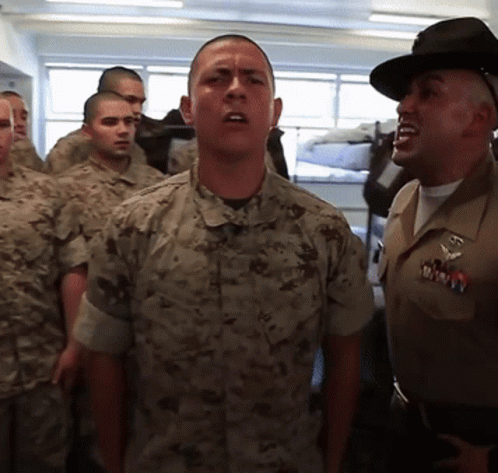 https://c.tenor.com/dUIYk35g6jIAAAAC/tenor.gif