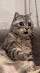 https://media.tenor.com/CNI1fSM1XSoAAAAM/shocked-surprised.gif