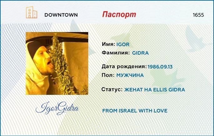 https://s18.directupload.net/images/210402/6tqiagiw.jpg