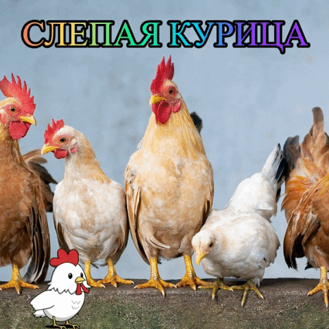https://media0.giphy.com/media/gVVhua8x4DtUhFRAlD/giphy.gif