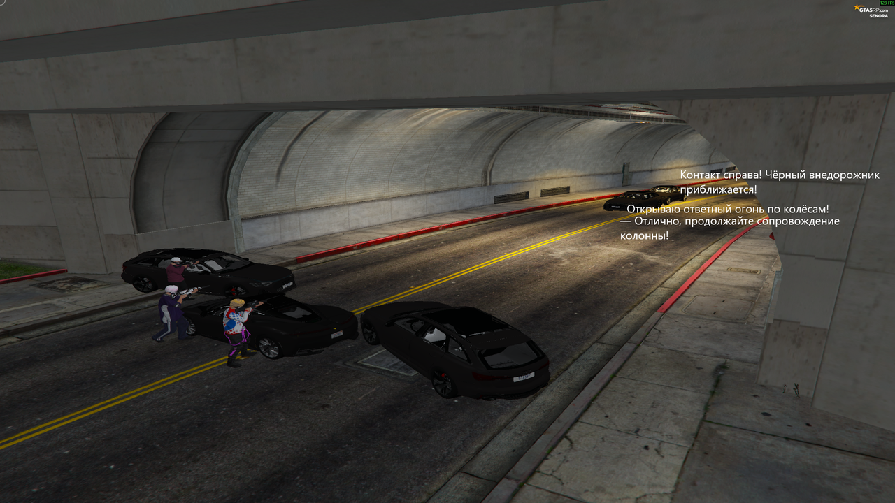 https://i.postimg.cc/fWgjZC14/Grand-Theft-Auto-V-Screenshot-2026-05-11-20-34-44-71.png