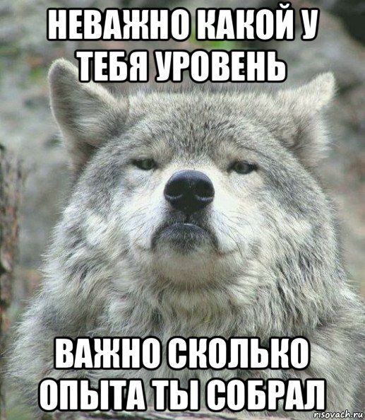 https://cs14.pikabu.ru/post_img/2022/05/04/3/1651629837189777069.jpg