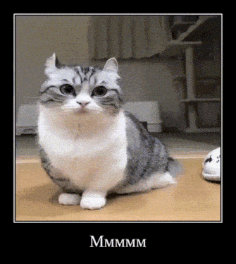 https://media1.tenor.com/m/qRnlBnJhBaYAAAAd/%D0%B1%D0%B0%D0%BD%D0%B0%D0%BD%D1%87%D0%B8%D0%BA%D0%B8-%D0%BA%D0%BE%D0%BC%D0%B0%D1%80%D1%83.gif