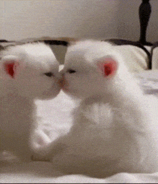 https://i.pinimg.com/originals/48/b4/85/48b4856a3a3cd5d41afc451d9eb544c2.gif