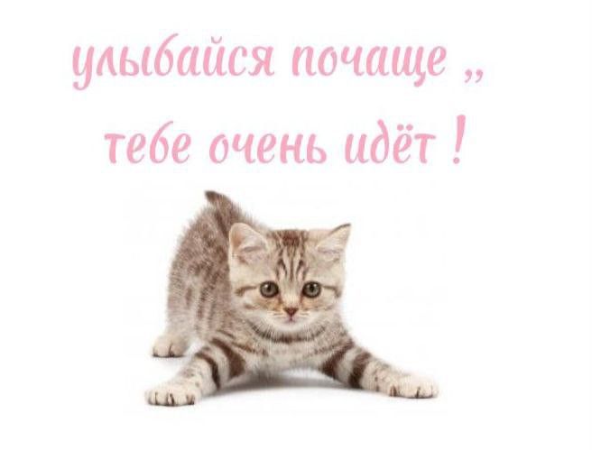 https://i.pinimg.com/736x/d4/bb/c2/d4bbc2d4bdb54b93e5b79370d1eda729.jpg