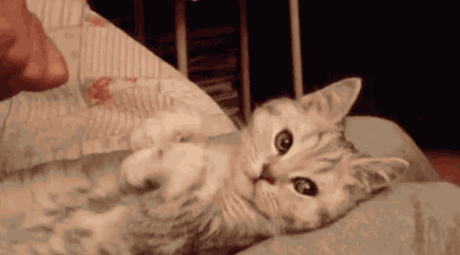 https://99px.ru/sstorage/86/2016/03/image_863103161205397136170.gif