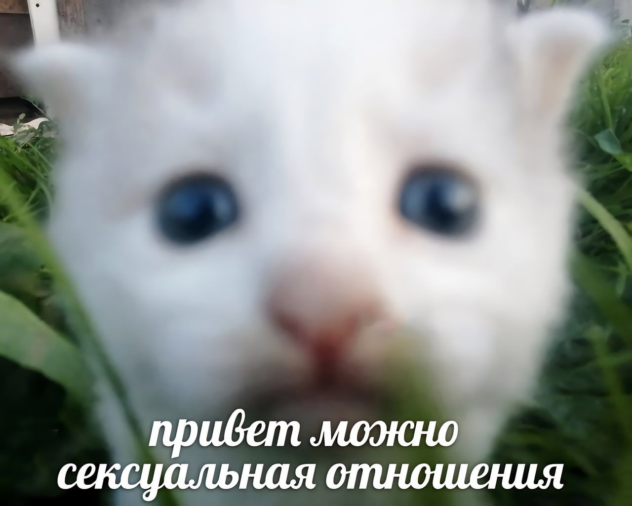 https://sun9-39.userapi.com/impg/28VHaMPu1IXv0zSz8y82tQzsiTWeXx_uOHwkuA/H2upTEYbPGQ.jpg?size=1280x1025&quality=95&sign=f304e05e8cfb757800dce678d514e9c3&type=album