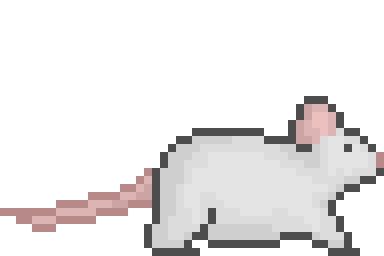https://i.pinimg.com/originals/64/bf/fc/64bffc9e1af7c51d6a90670964b9e207.gif