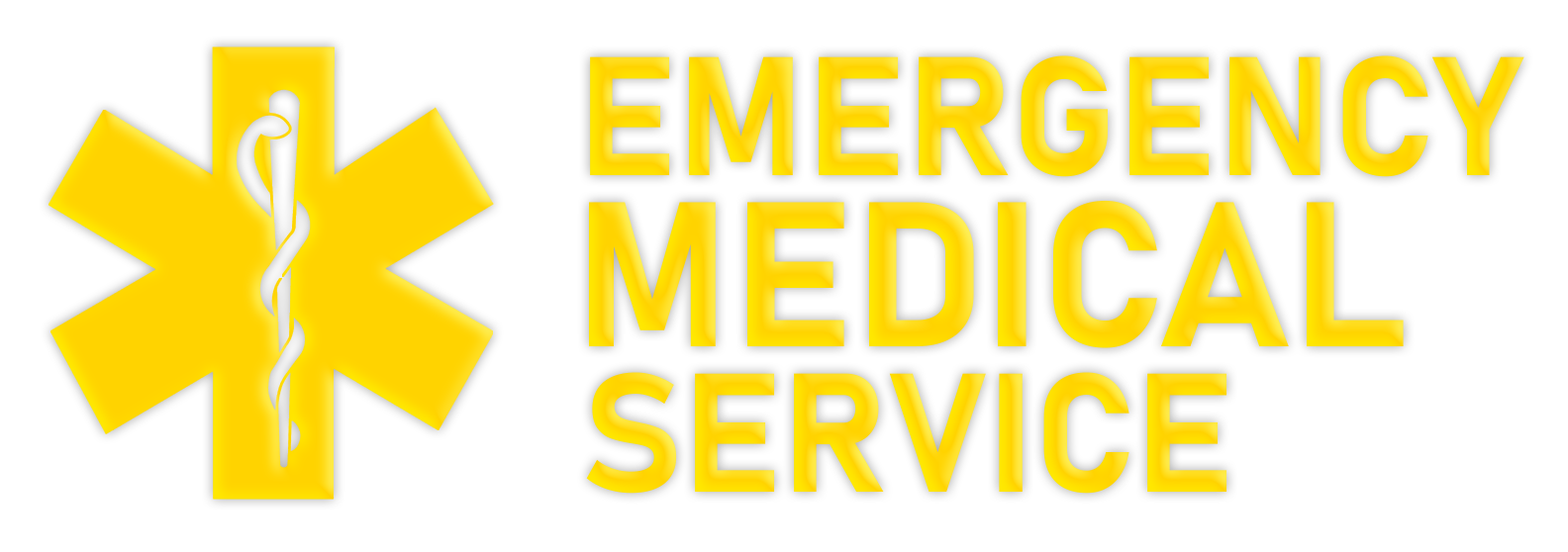 EMS.png