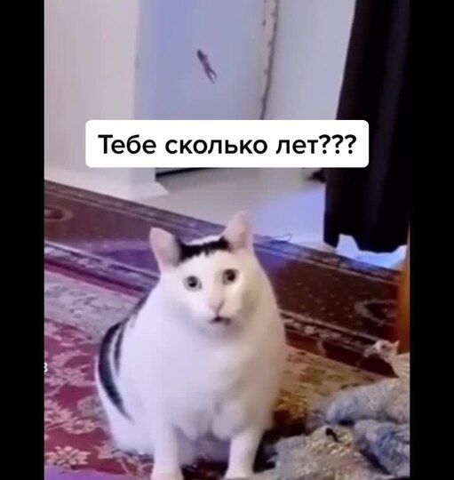 https://images.thevoicemag.ru/upload/img_cache/ea2/ea24046e1837a905931d636b49778e0e_cropped_511x540.jpg