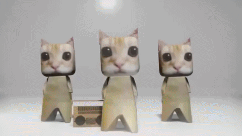 https://media.giphy.com/media/MiJRMNj47O1YJnug9T/giphy.gif