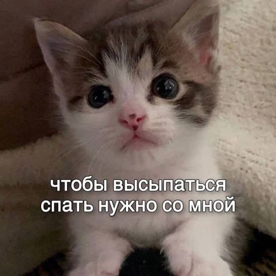 https://i.pinimg.com/564x/e9/dd/53/e9dd53ccffabce23ba43785c4e4b55ec.jpg