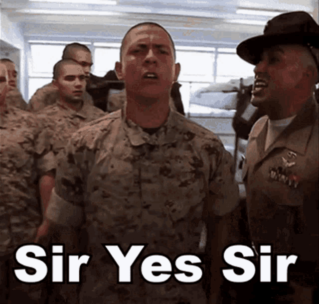 https://c.tenor.com/ENSvw_2HzyYAAAAd/sir-yes-sir-yes-sir.gif