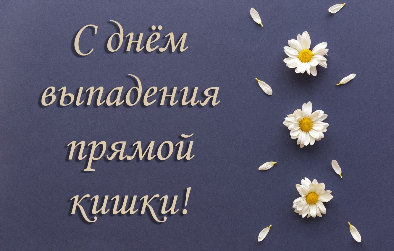 https://sun9-61.userapi.com/impg/CIECl6kl1ianYMUBMRuMVRxa0gX5rs6QjscA4A/lZmRHVB2Q6w.jpg?size=1332x850&quality=95&sign=d6702989b46f56b9bc2d7fc0b32947cf&type=album
