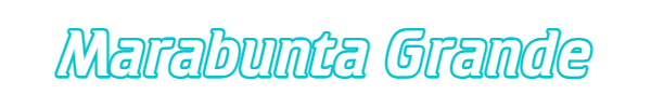 https://i.postimg.cc/Hn9ThtyV/MARA1.png