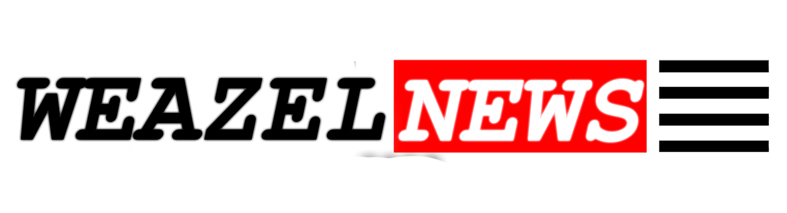 визлы.png