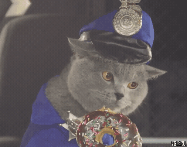 https://vgif.ru/gifs/155/vgif-ru-26668.gif
