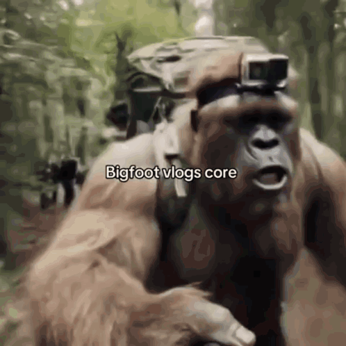 https://media1.tenor.com/m/mOAq0ho9k20AAAAC/monkey.gif