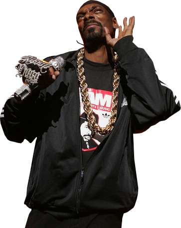 https://pngimg.com/d/rap_PNG31.png