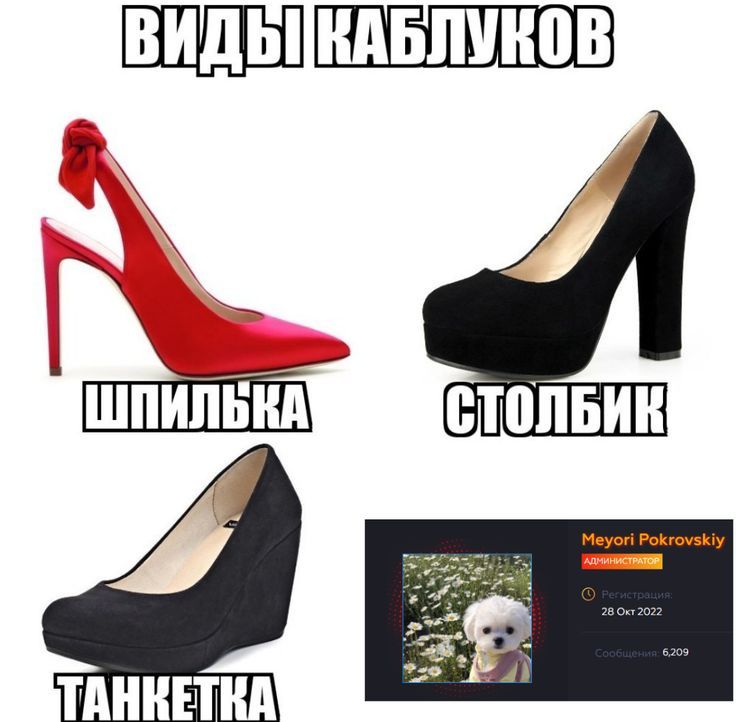 https://i.pinimg.com/736x/25/d7/4d/25d74d07be734ce3f7cd6a707c033cce.jpg